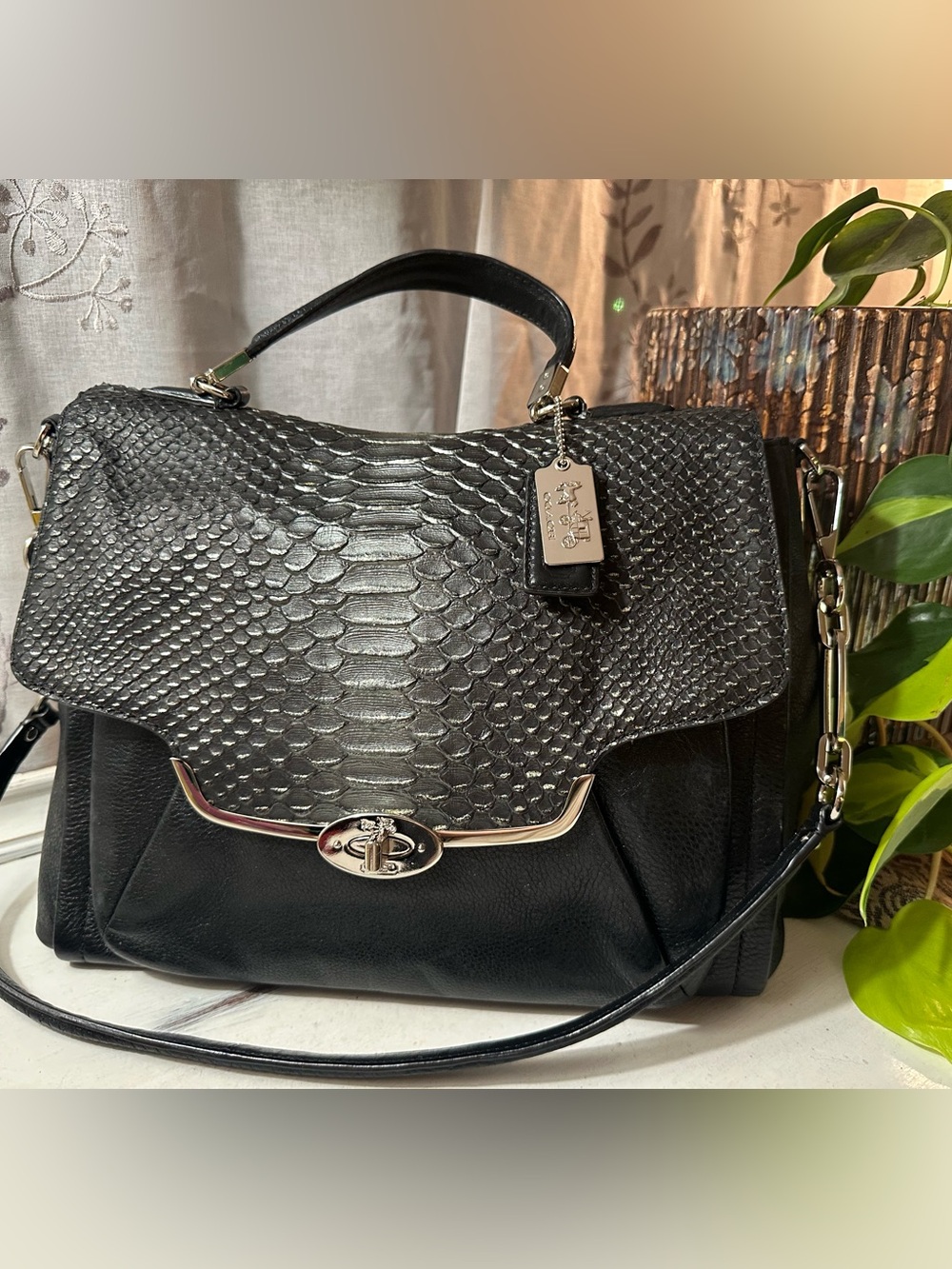 Coach Black Leather Python-Embossed Madison Flap Satchel